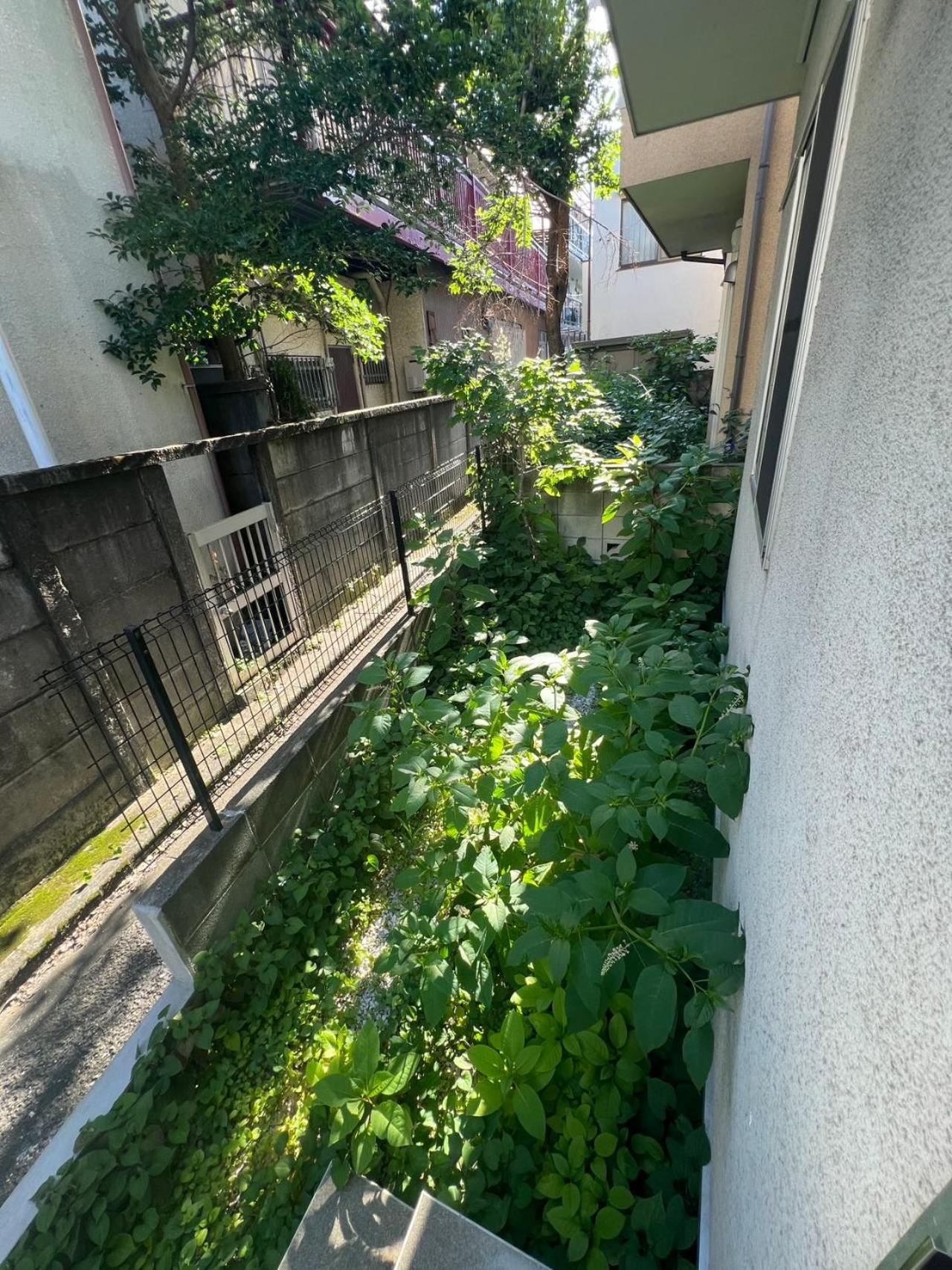 Ohayo 大森西 * Tokyo prefektur